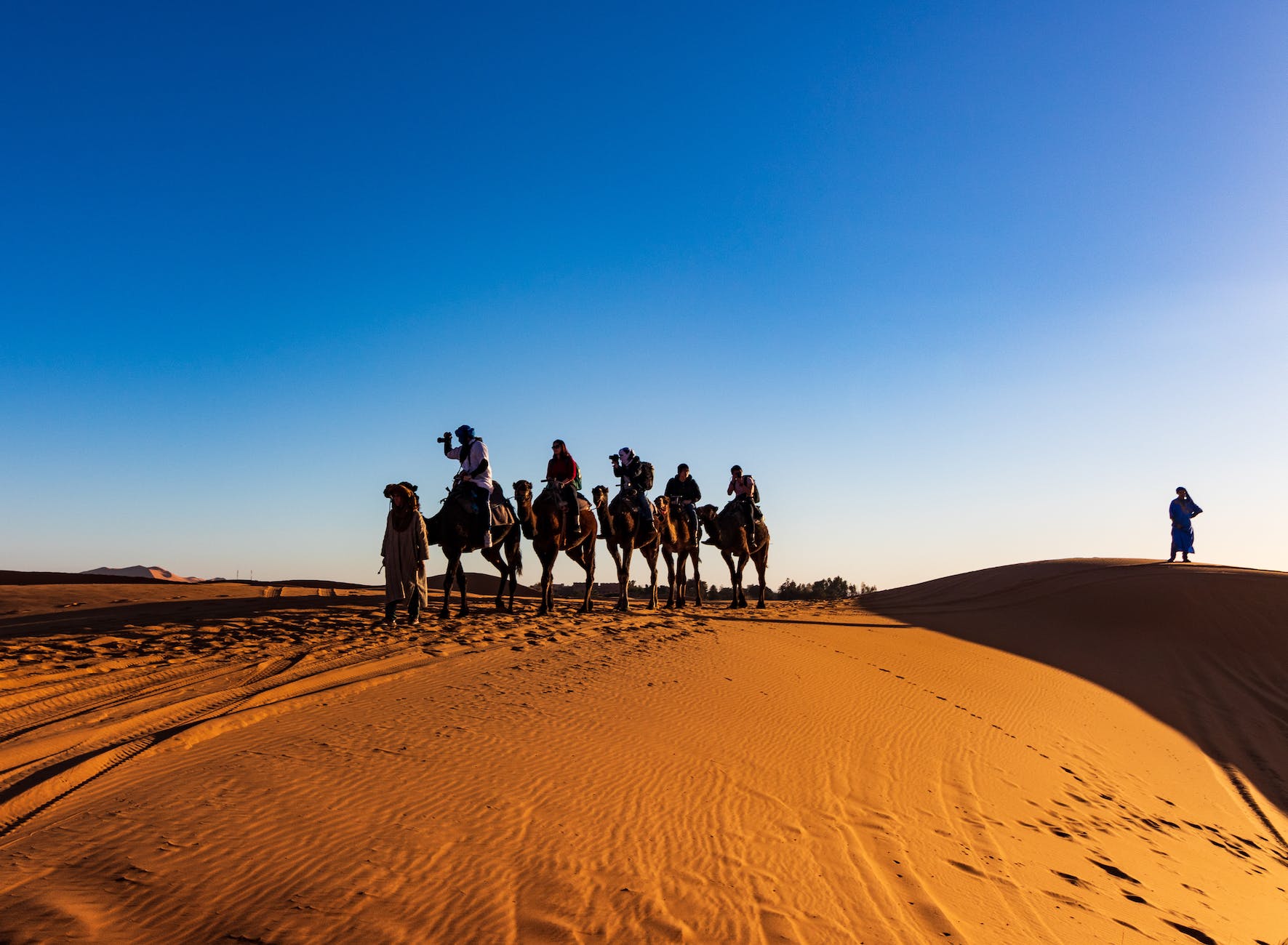 people riding on camels