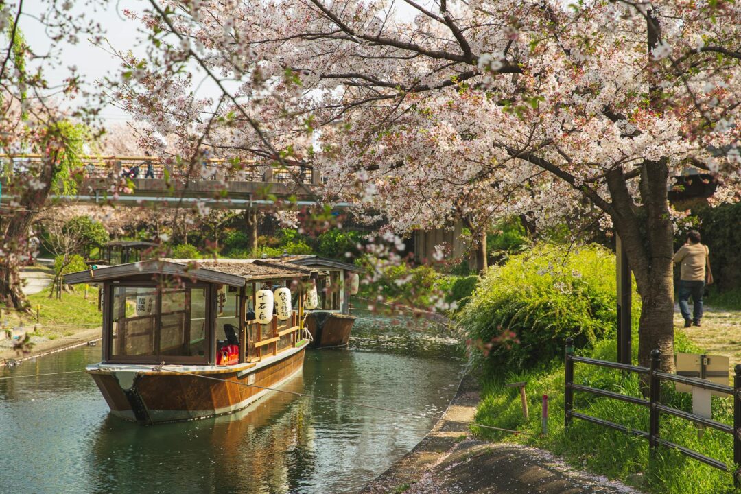river channel with floating boat located in park
