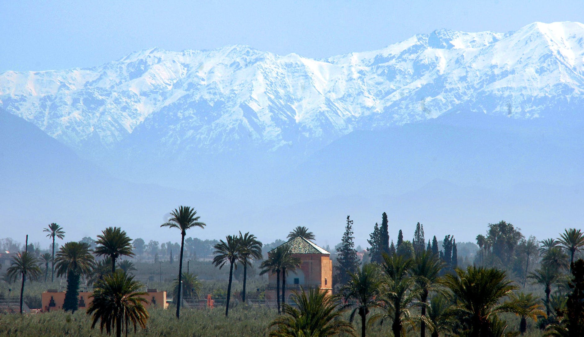 landscape of palm trees and the atlas mountains in marrakech morocco