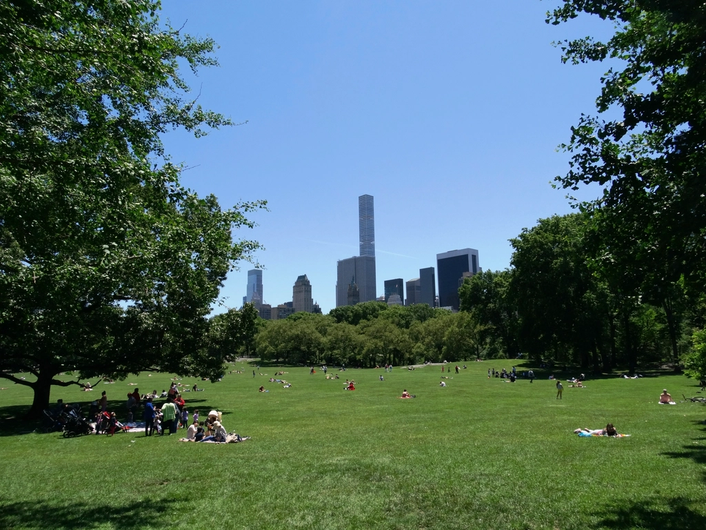 Summer Central Park, New York