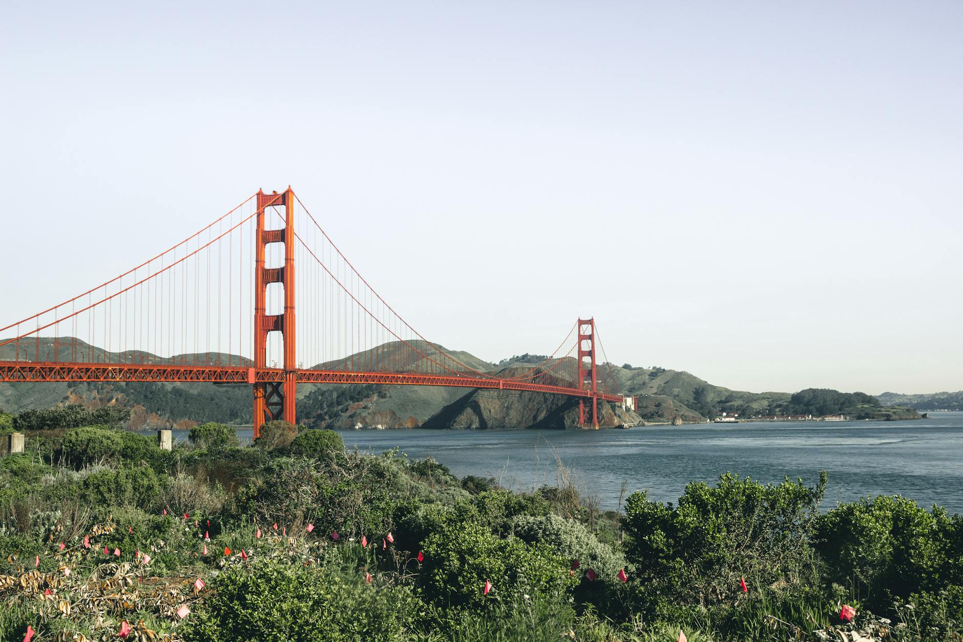 architectural photography of bridge